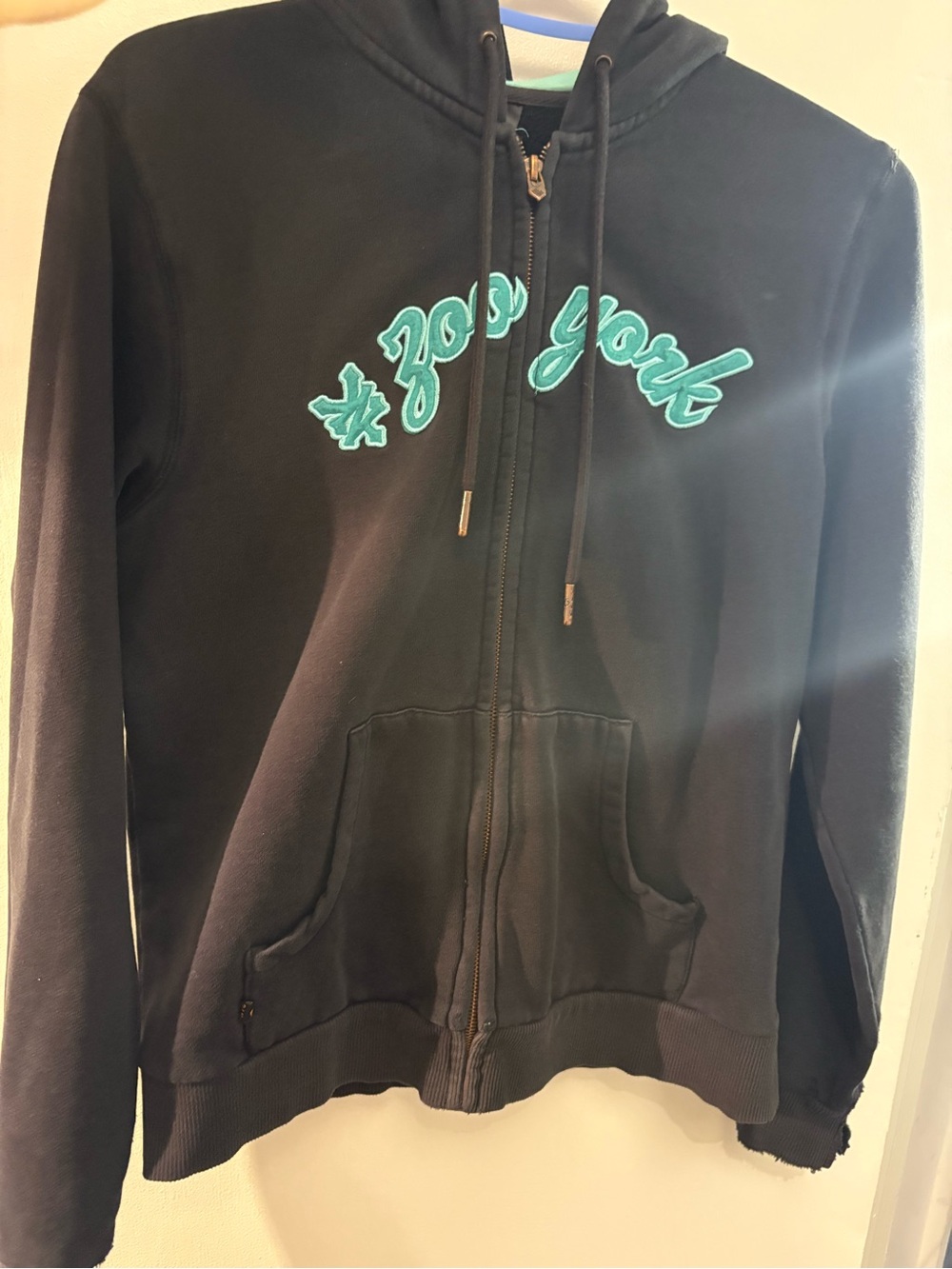 π₯π 2/$15ππ₯ Y2K vintage Zoo York hooded